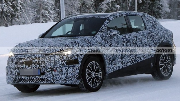 0452_image_8.png (2.07 Kb)