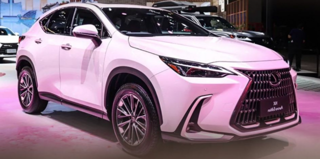 5953_image_3.png (314.79 Kb)